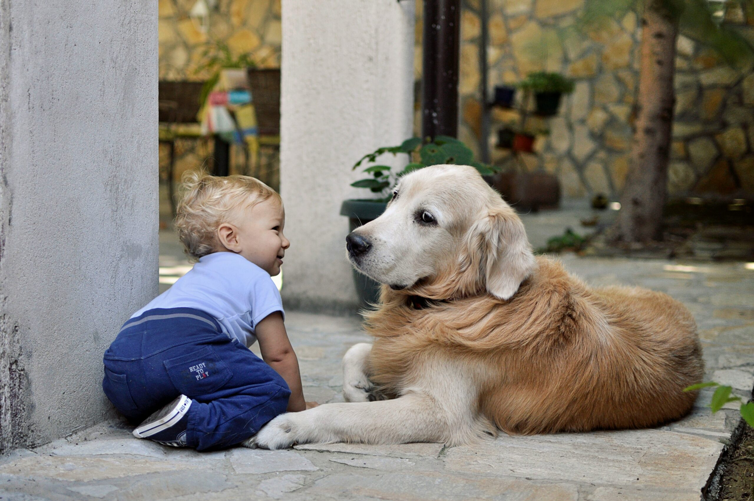 animaux bébé